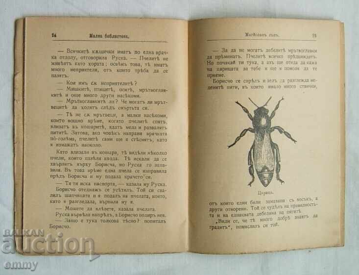 Книжка 1904 г. - разказ "Магйосан сън", сп."Звездица" - 5