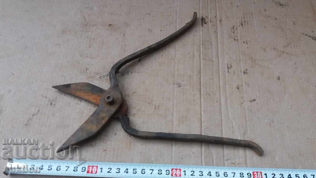 FOARCINE FORJAȚE DE RENAȘTERE - 5 FOARCINE FORJAȚE DE RENAȘTERE - 5