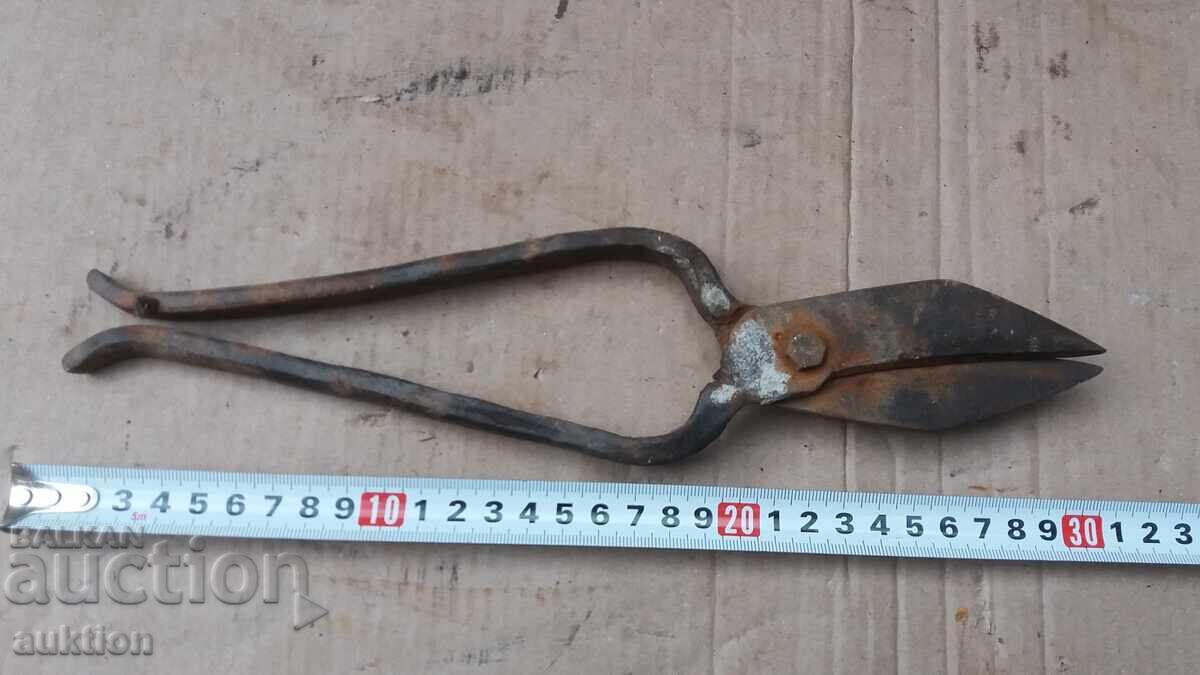 FOARCINE FORJAȚE DE RENAȘTERE FOARCINE FORJAȚE DE RENAȘTERE