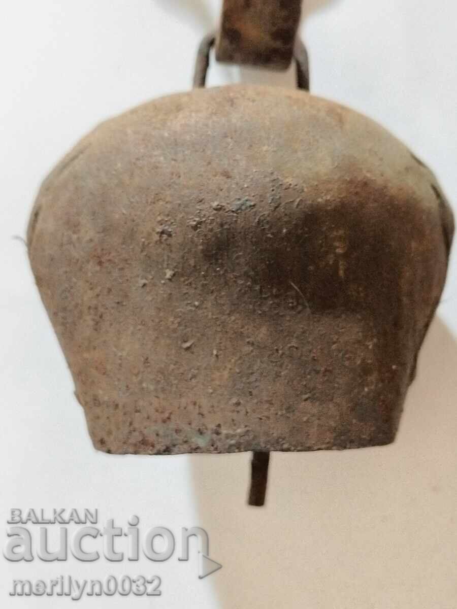 Boy tumbelek bell chan bell