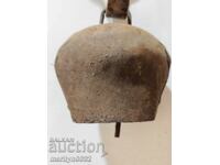 Boy tumbelek bell chan bell