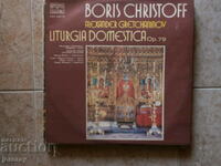 Gramophone record large