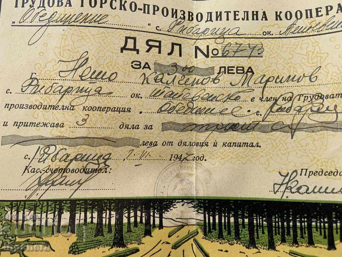 ACȚIE DEAL PENTRU 300 LEVA DIN 1947. RIBARIȚA TETEVEN cu preț 19.00 BGN | € 9.71