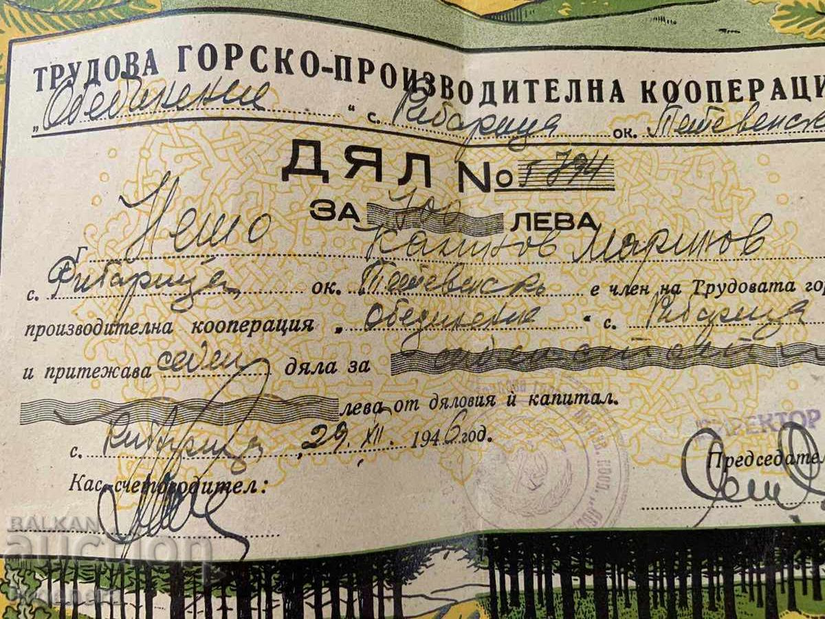 АКЦИЯ ДЯЛ ЗА 700 ЛЕВА ОТ 1946 Г. РИБАРИЦА ТЕТЕВЕН с цена 19.00 лв. | € 9.71