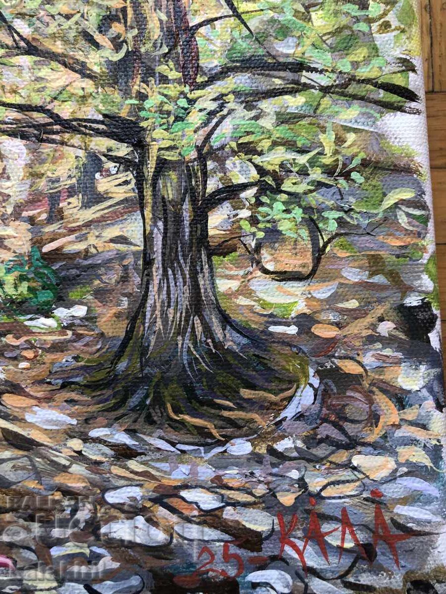 Bachkovo Monastery - 5 Bachkovo Monastery - 5