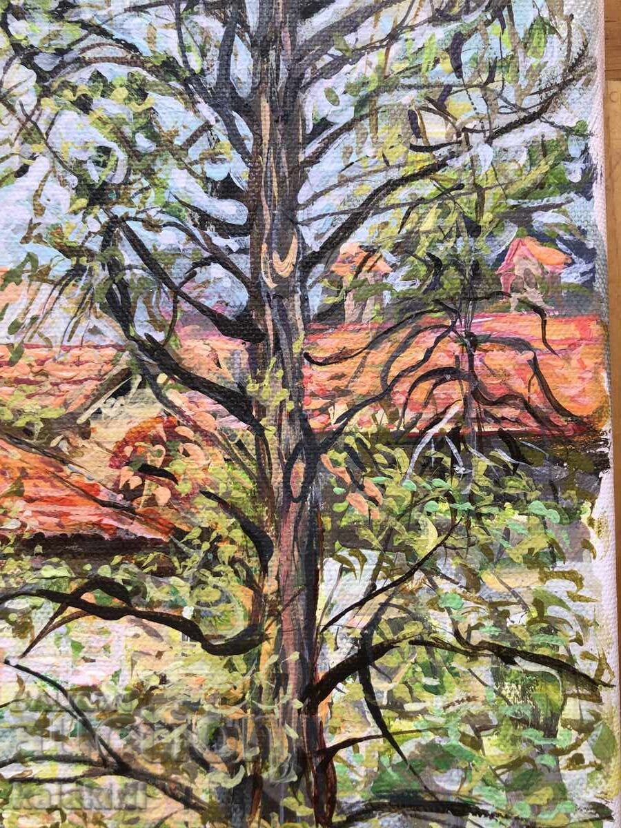 Bachkovo Monastery - 6 Bachkovo Monastery - 6