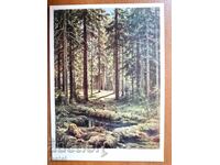 Ταχυδρομική κάρτα από τον Σίσκιν 1968