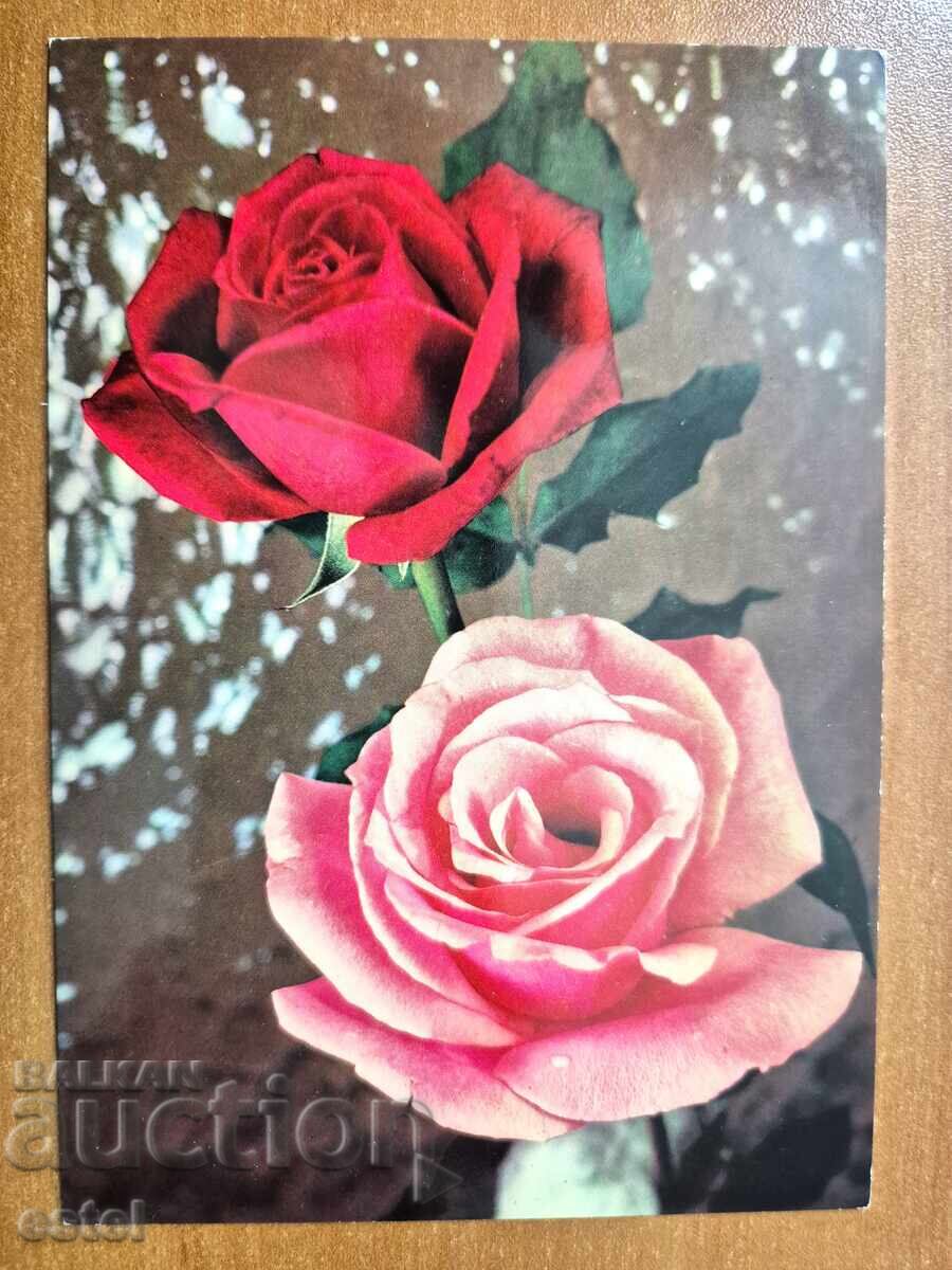 Ταχυδρομική κάρτα - καλλιτεχνική Ιταλία Ταχυδρομική κάρτα - καλλιτεχνική Ιταλία