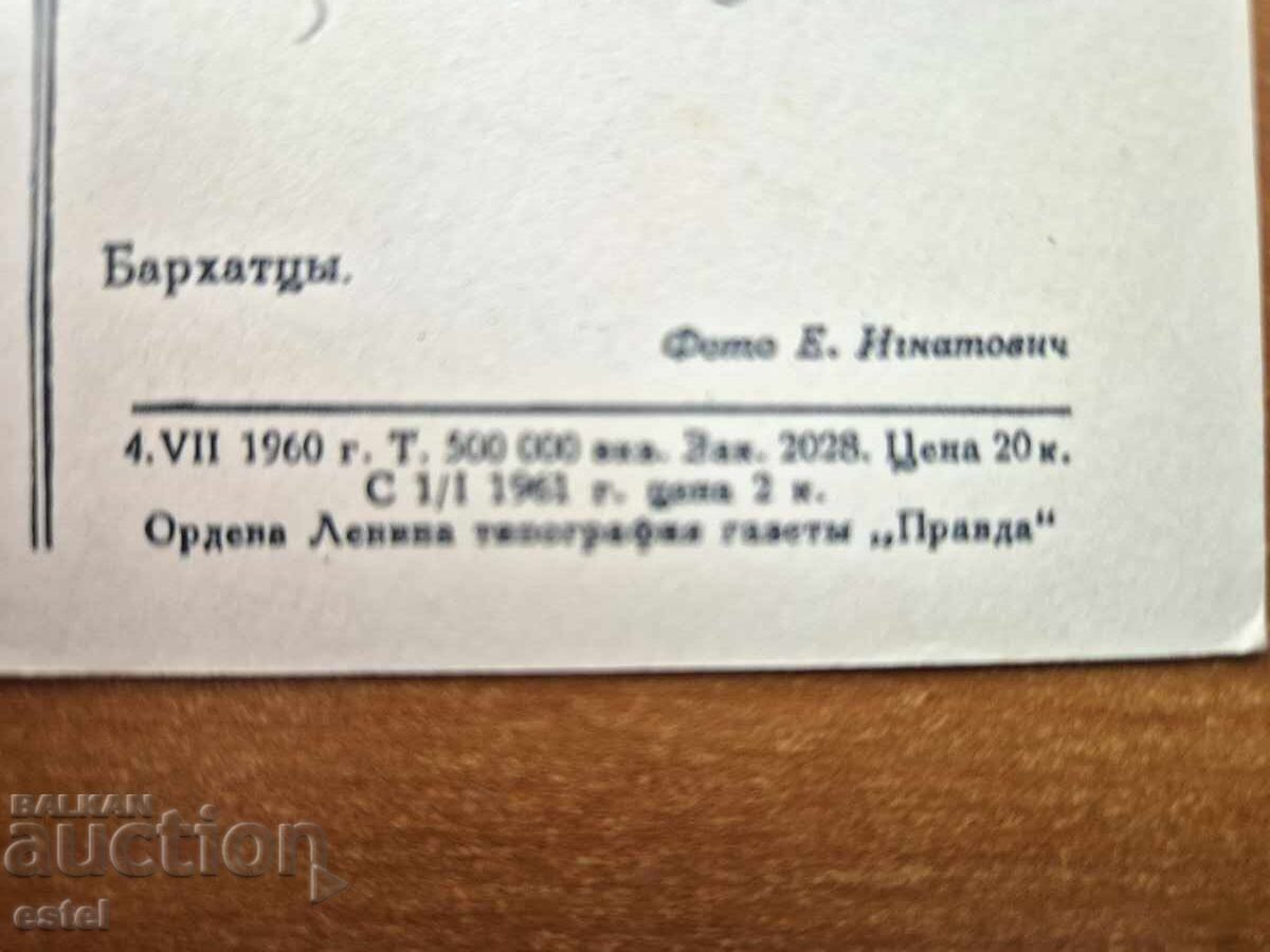 Ταχυδρομική κάρτα - καλλιτεχνική ΕΣΣΔ με τιμή 0.20 BGN | € 0.10