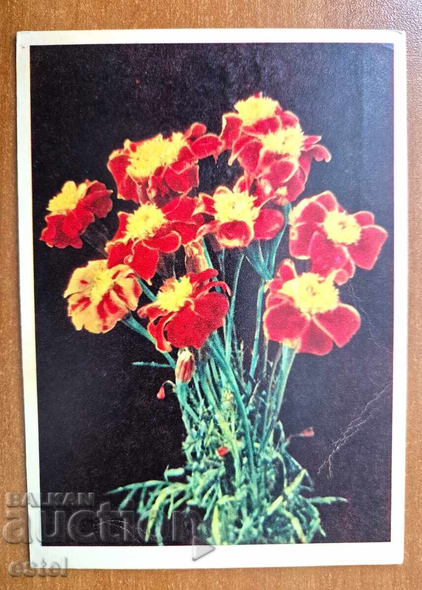 Ταχυδρομική κάρτα - καλλιτεχνική ΕΣΣΔ