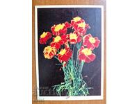 Ταχυδρομική κάρτα - καλλιτεχνική ΕΣΣΔ