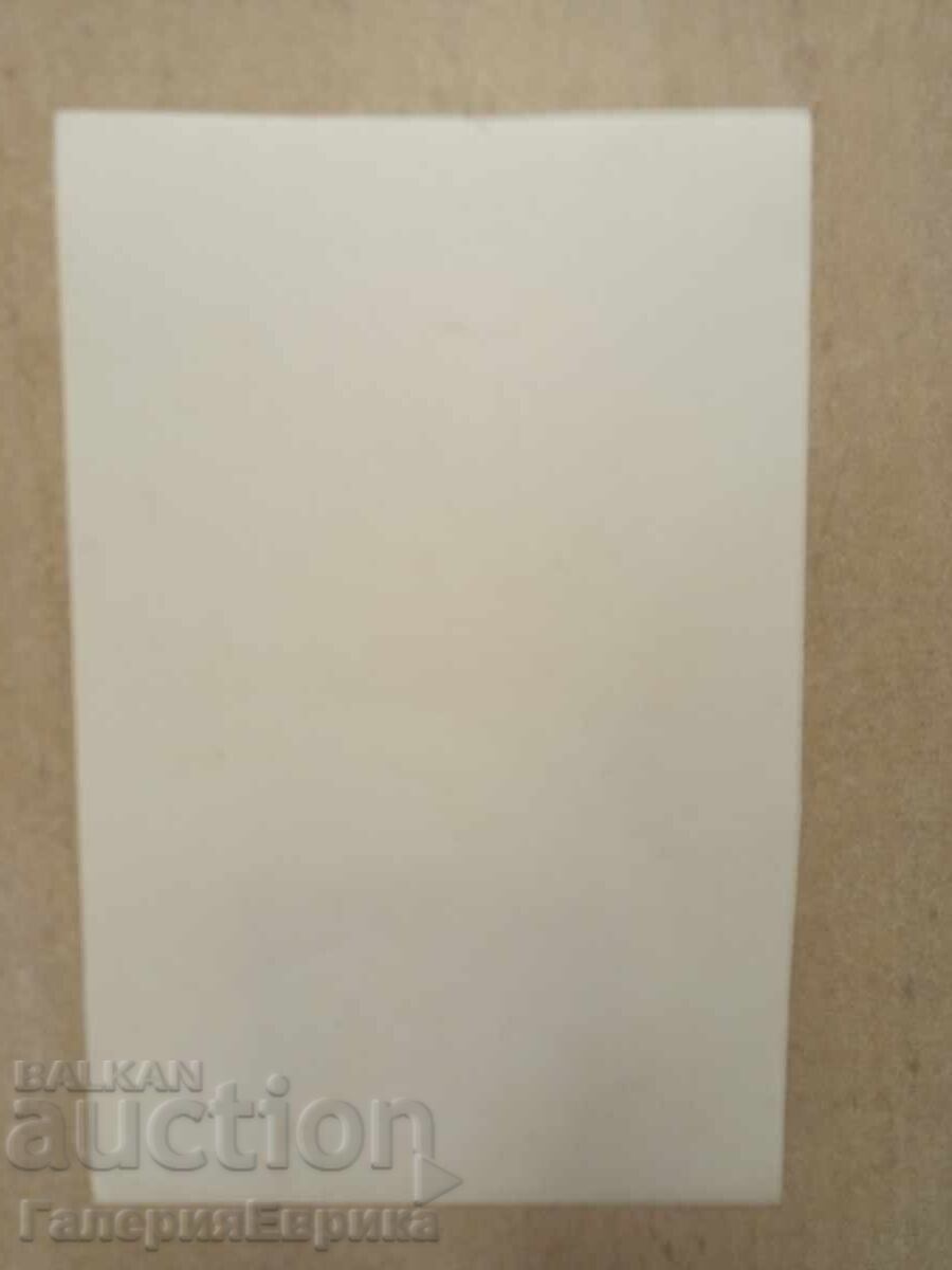 Licitație Master pictură desen Licitație Master pictură desen