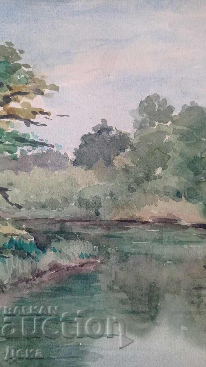 N. Yankov Watercolor - 5
