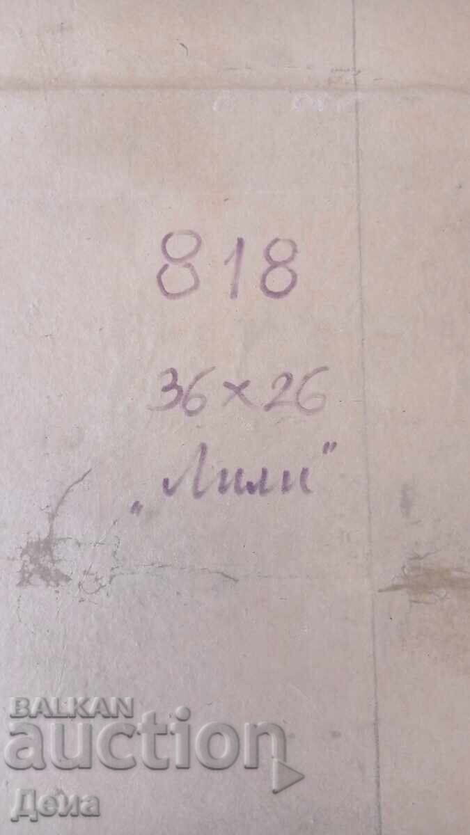 Georgi Kirov Painting - 5