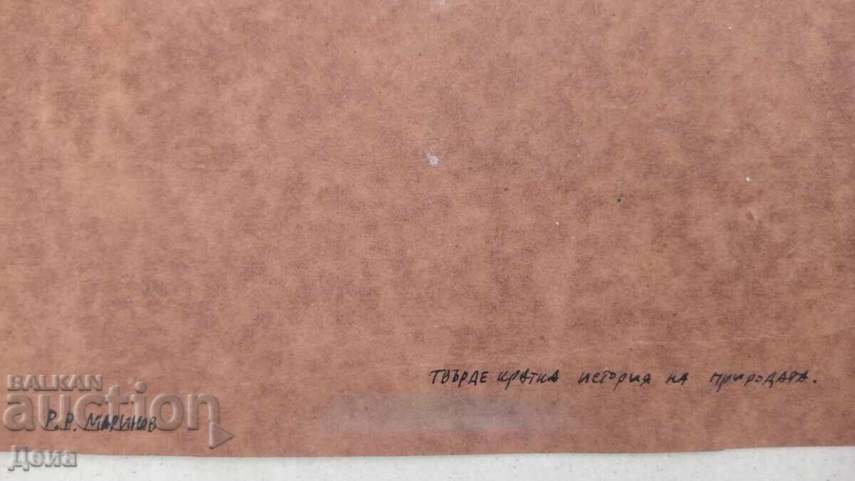 Ρ.Μαρίνοφ σχέδια - 7