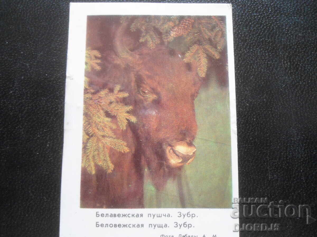 Παλαιό ημερολόγιο, 1983