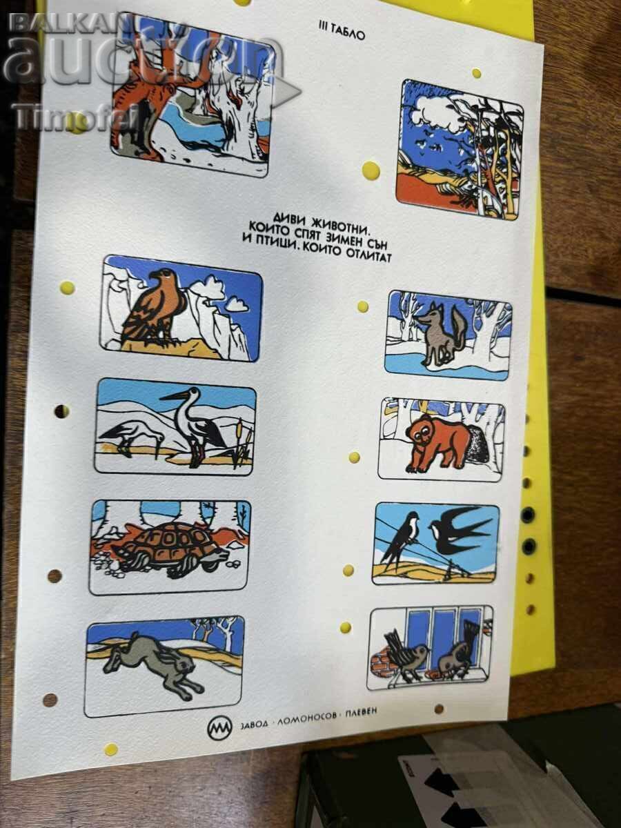 Стара игра. ВЕСЕЛИЯТ МНОГОЗНАЙКО! с цена 40.00 лв. | € 20.45 Стара игра. ВЕСЕЛИЯТ МНОГОЗНАЙКО! с цена 40.00 лв. | € 20.45