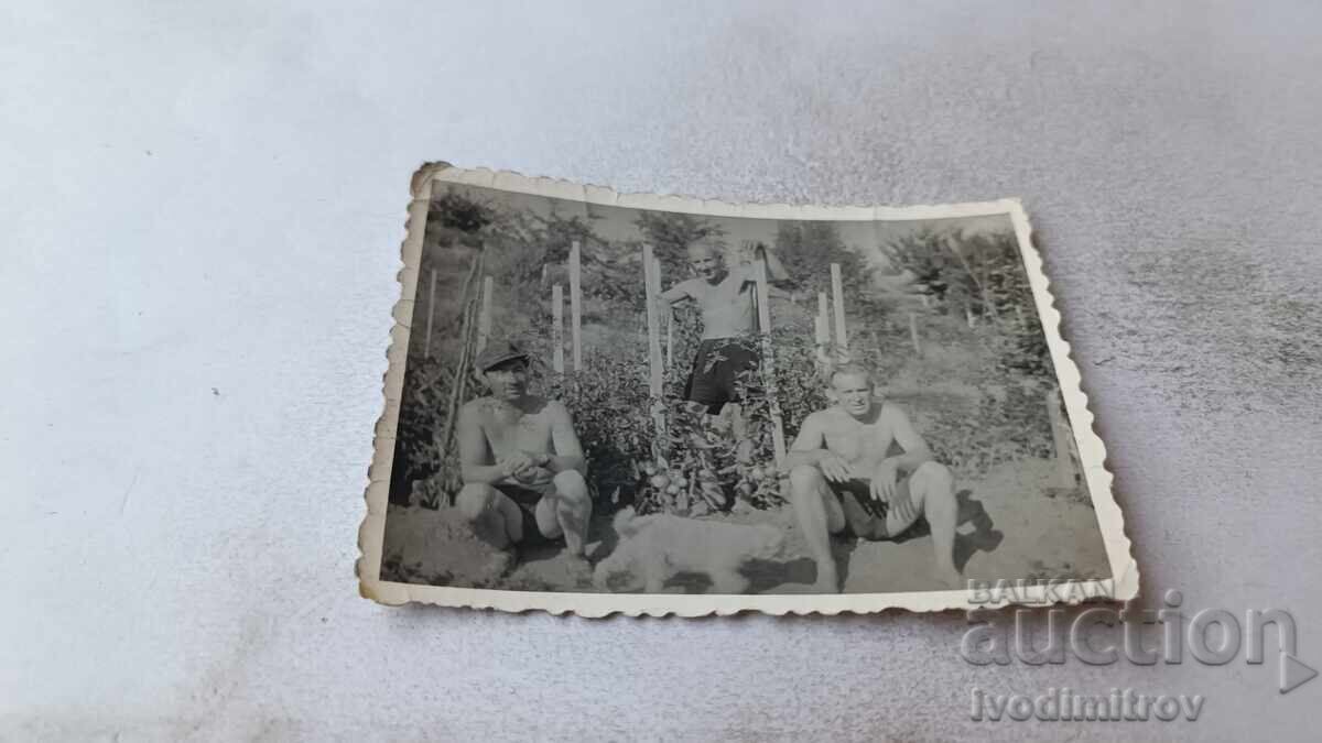 Φωτογραφία Τριών ανδρών στον κήπο