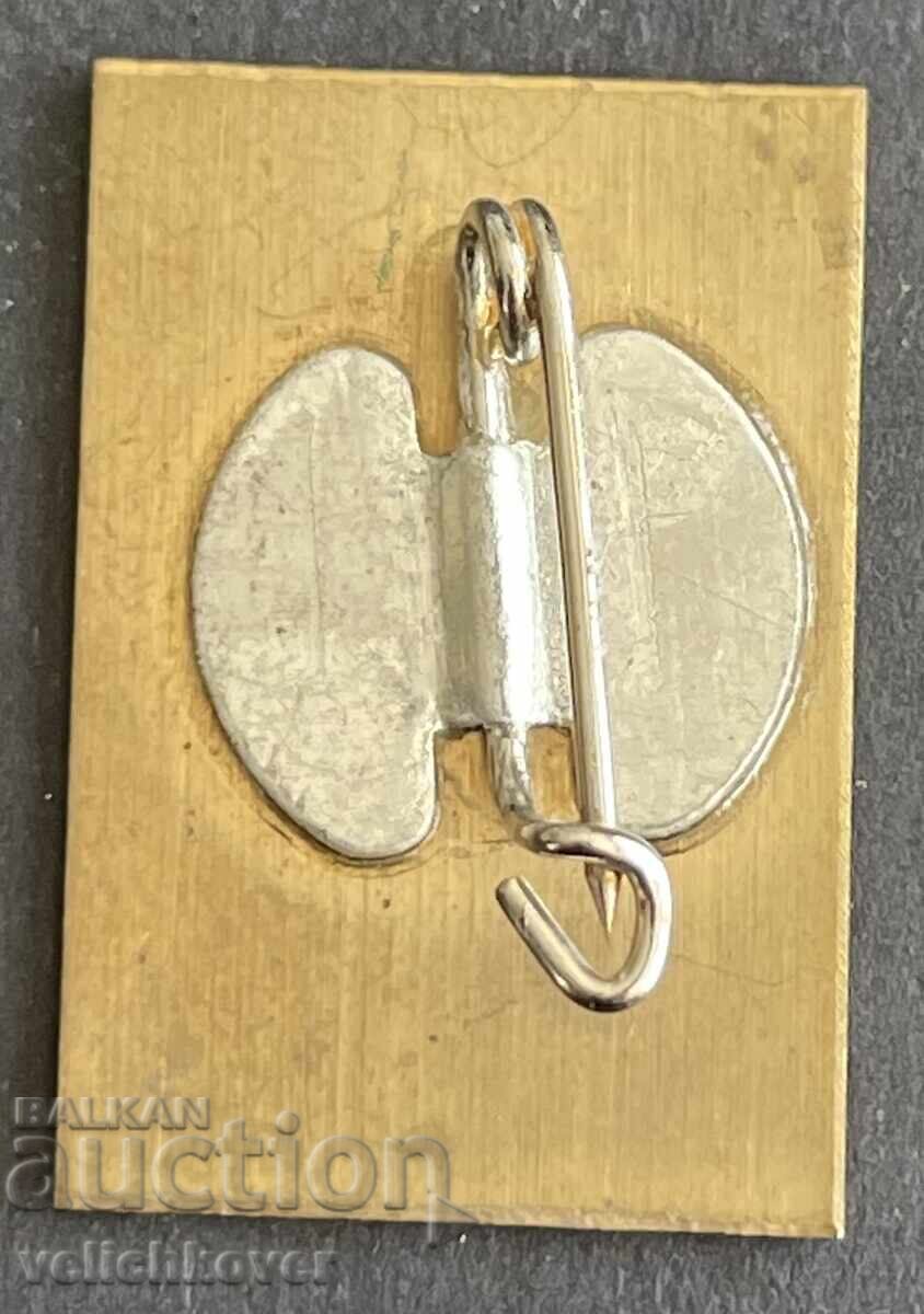 41320 Bulgaria semn 25g. DOT Ofițer 1960-1984g cu preț 4.00 BGN | € 2.05