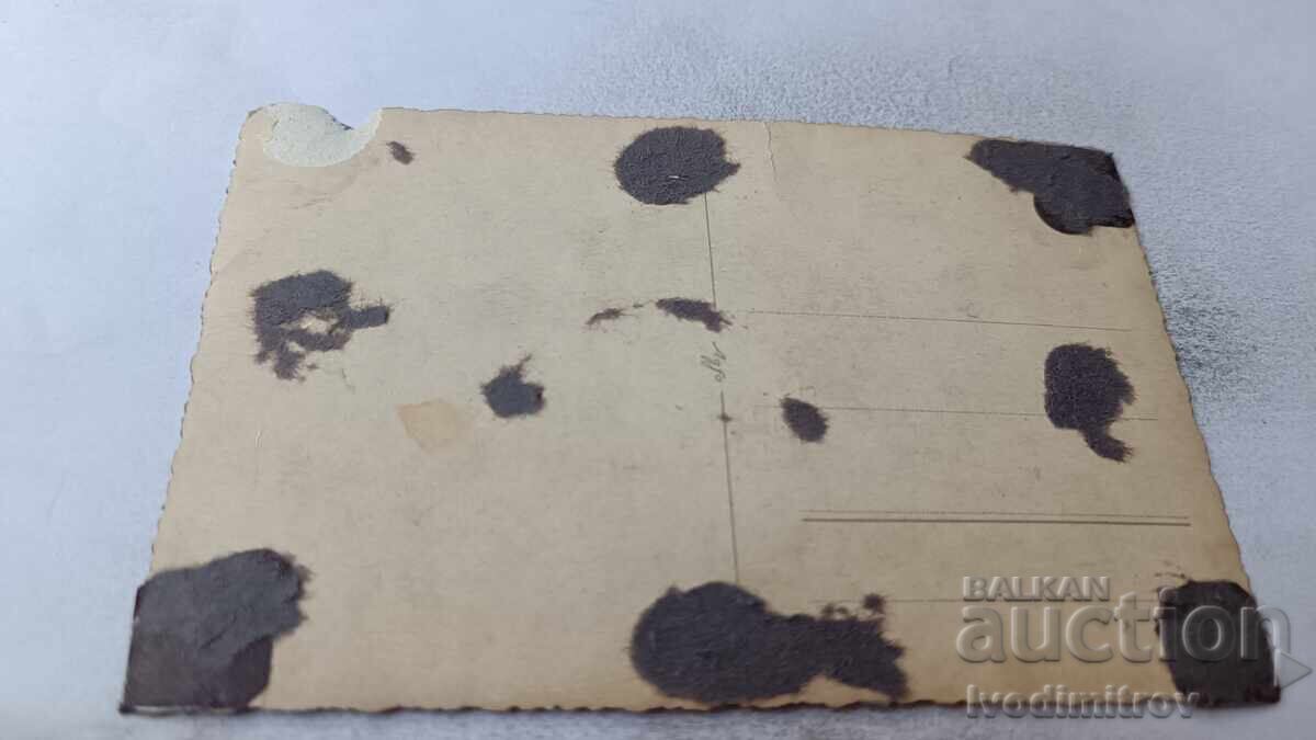 Fotografie cu eleve pe un pod de lemn iarna cu preț 2.35 BGN | € 1.20