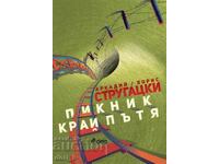 Пикник край пътя