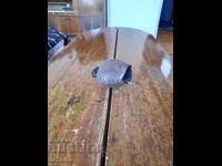 Clopot vechi, aplaudă, chan