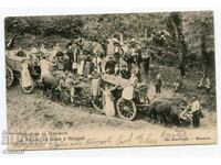 Гроздобер в Никопол ранна картичка етнография