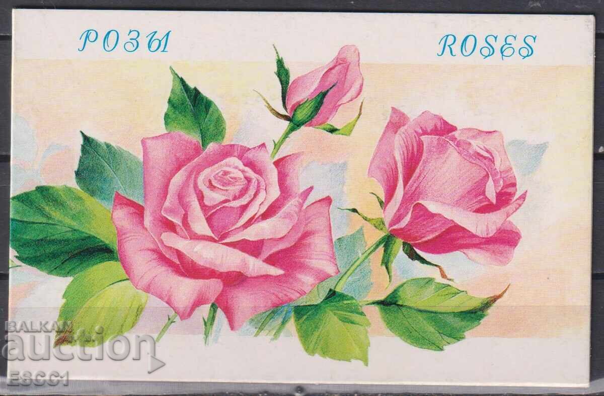 Clean stamps in a Flora Flowers Roses 1999 booklet from Russia with price 8.00 BGN | € 4.09