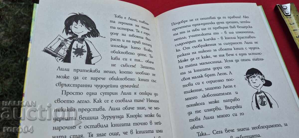 LILI MINUNEA - 6 - KNISTER - 5