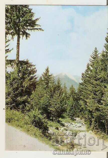 Κάρτα Βουλγαρία Πιρίν Θέα 3*