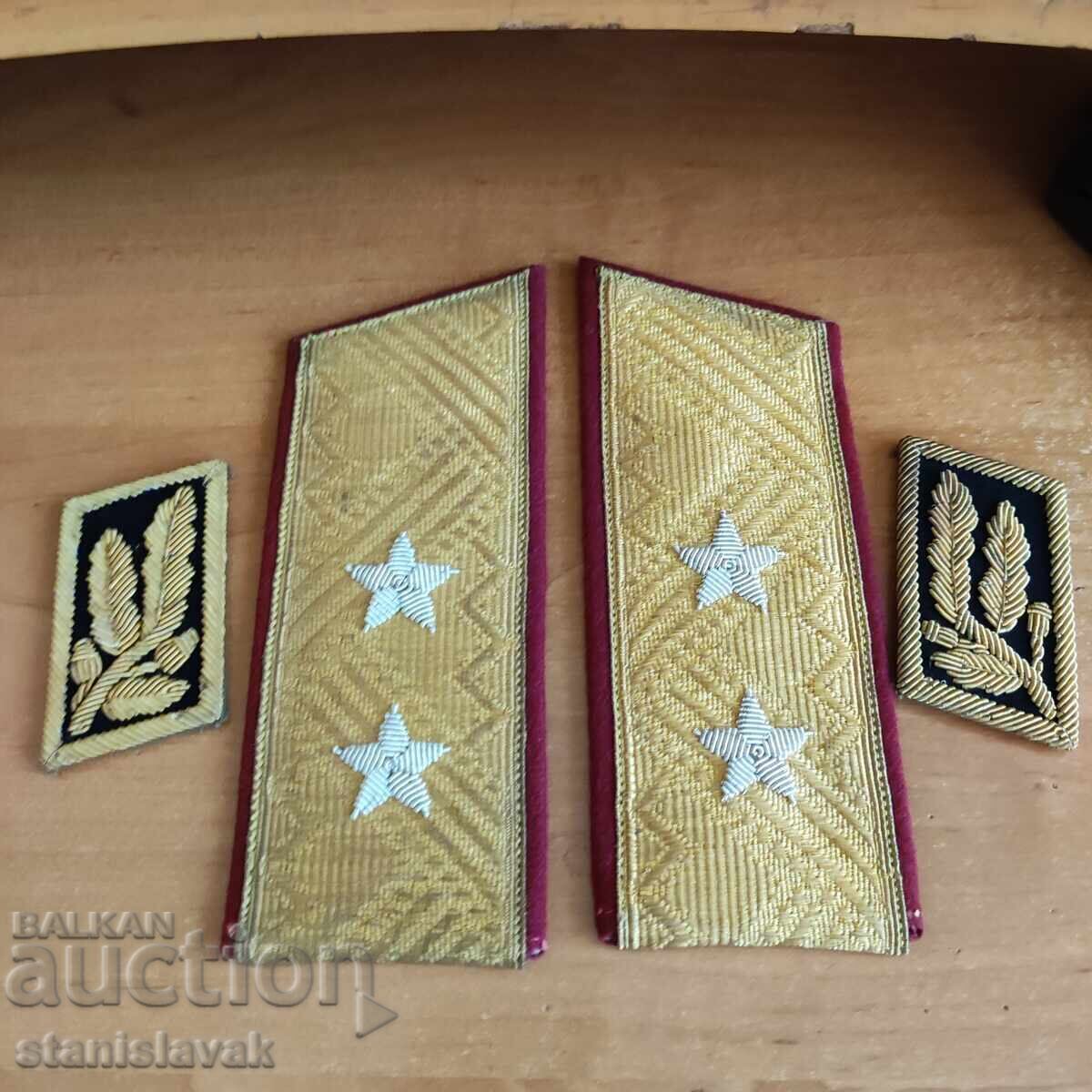 Licitație Epoleți de paradă + epoleti pentru general-locotenent