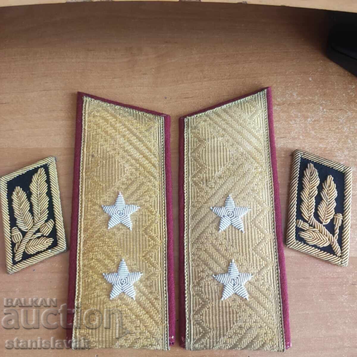 Epoleți de paradă+petlițe de general-locotenent