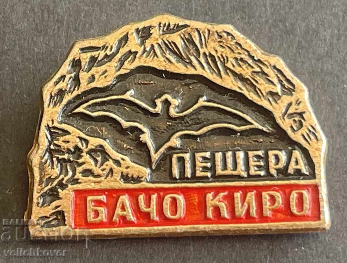 41338 Bulgaria stamp Peshtera Bacho Kiro