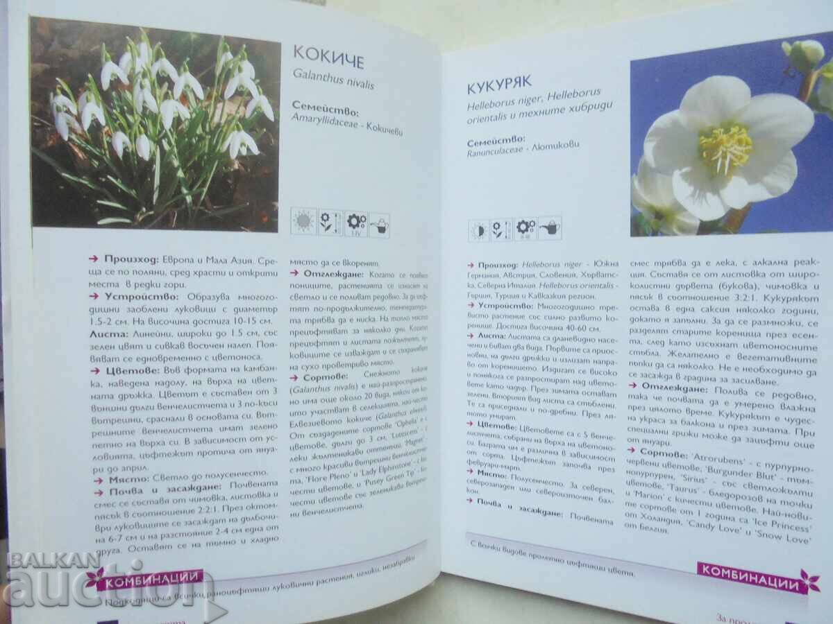 Μπαλκονίσια λουλούδια. Μέρος 1 Ανέλια Πέντσεβα και άλλοι. 2010 με τιμή 15.00 BGN | € 7.67