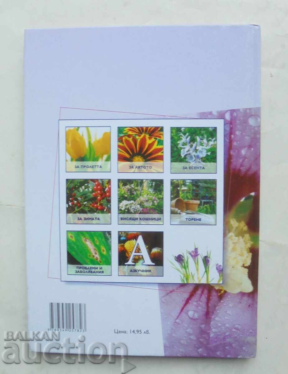 Δημοπρασία Μπαλκονίσια λουλούδια. Μέρος 1 Ανέλια Πέντσεβα και άλλοι. 2010