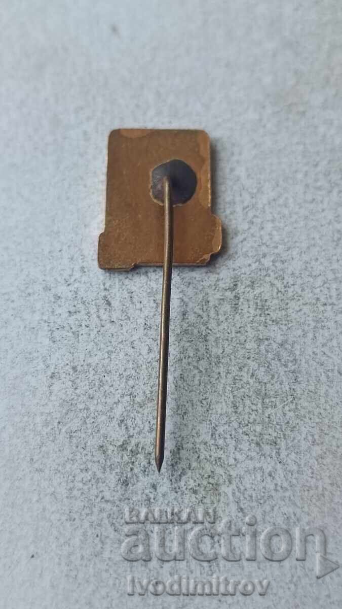 Значка Турист НРБ с цена 3.85 лв. | € 1.97