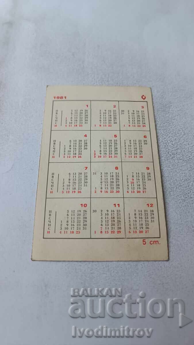 Ημερολόγιο Volkswagen '68 1981 με τιμή 0.95 BGN | € 0.49