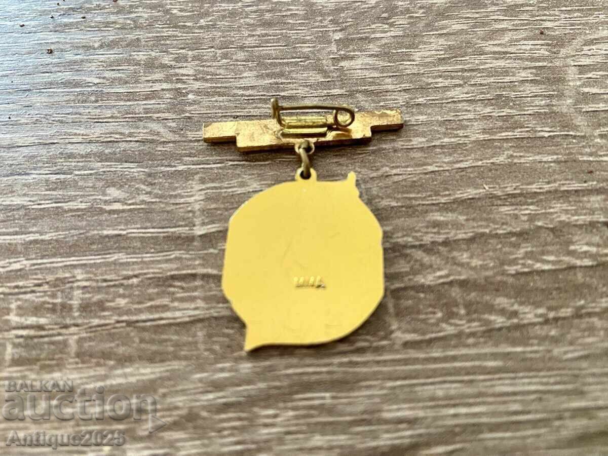 Auction  Badge VLKSM-FDJ, Dresden 1970