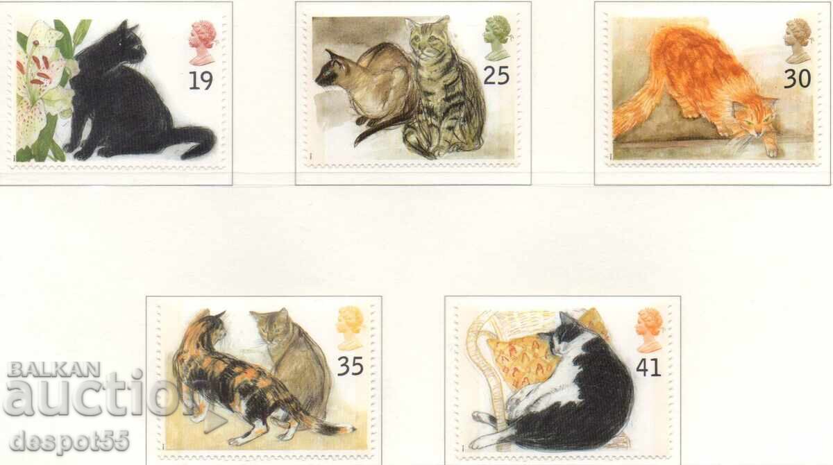 1995. Ηνωμένο Βασίλειο. Γάτες