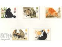 1995. Великобритания. Котки.