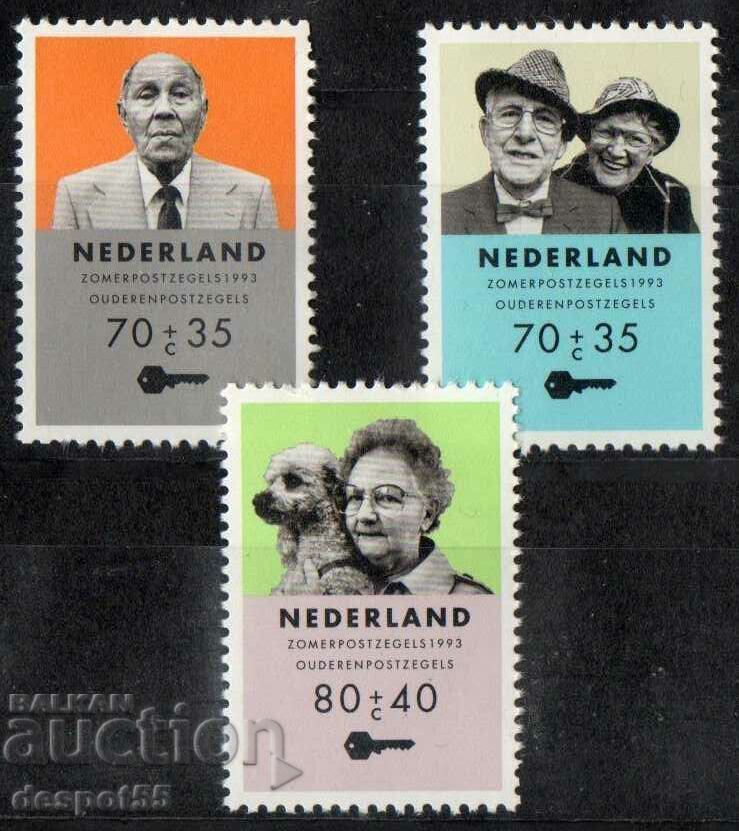 1993. Olanda. Munca pentru adulti.