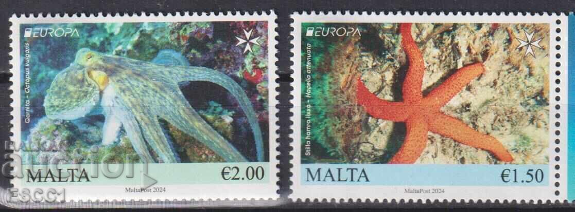 Καθαρές γραμματόσημες Ευρώπη ΣΕΠΤ Θαλάσσια Πανίδα 2024 από Μάλτα