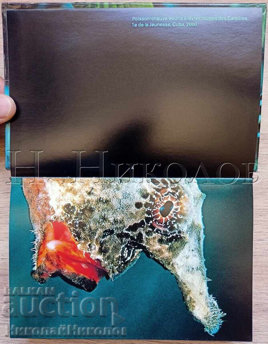 ΠΑΛΙΟ ΓΑΛΛΙΚΟ ΒΙΒΛΙΟ ΑΛΜΠΟΥΜ ΨΑΡΙΑ ΤΑ ΜΑΤΙΑ ΤΗΣ ΘΑΛΑΣΣΑΣ Κ034 με τιμή 10.00 BGN | € 5.11 ΠΑΛΙΟ ΓΑΛΛΙΚΟ ΒΙΒΛΙΟ ΑΛΜΠΟΥΜ ΨΑΡΙΑ ΤΑ ΜΑΤΙΑ ΤΗΣ ΘΑΛΑΣΣΑΣ Κ034 με τιμή 10.00 BGN | € 5.11