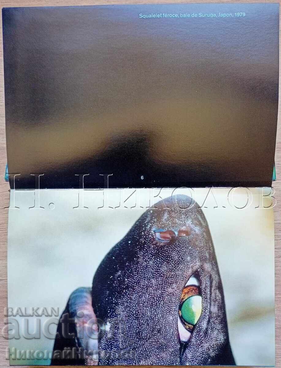 Licitație CARTE VECHE FRANCEZĂ ALBUM PEȘTI OCHII MĂRII K034