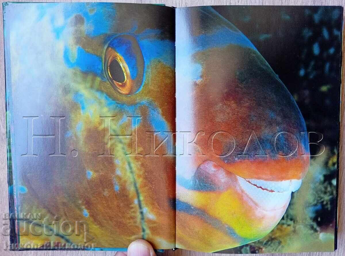 CARTE VECHE FRANCEZĂ ALBUM PEȘTI OCHII MĂRII K034 - 6