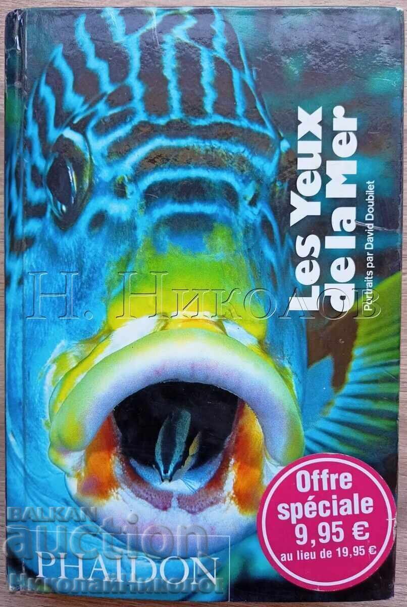 CARTE VECHE FRANCEZĂ ALBUM PEȘTI OCHII MĂRII K034