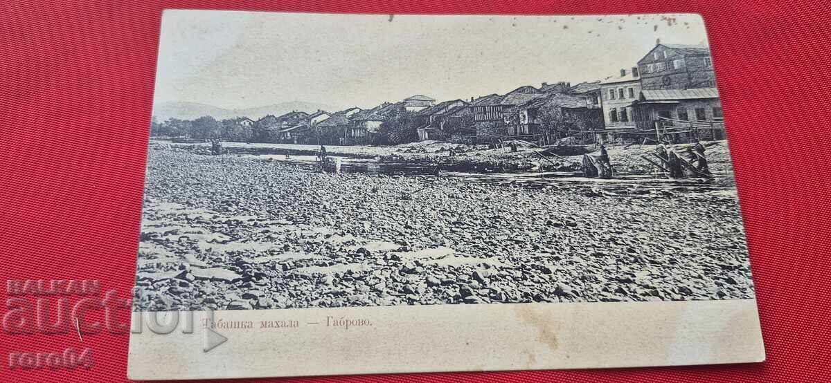 GABROVO - ΤΑΜΠΑΚΑ ΜΑΧΑΛΑ - 7