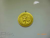 Breast badge - Tolbukhin district