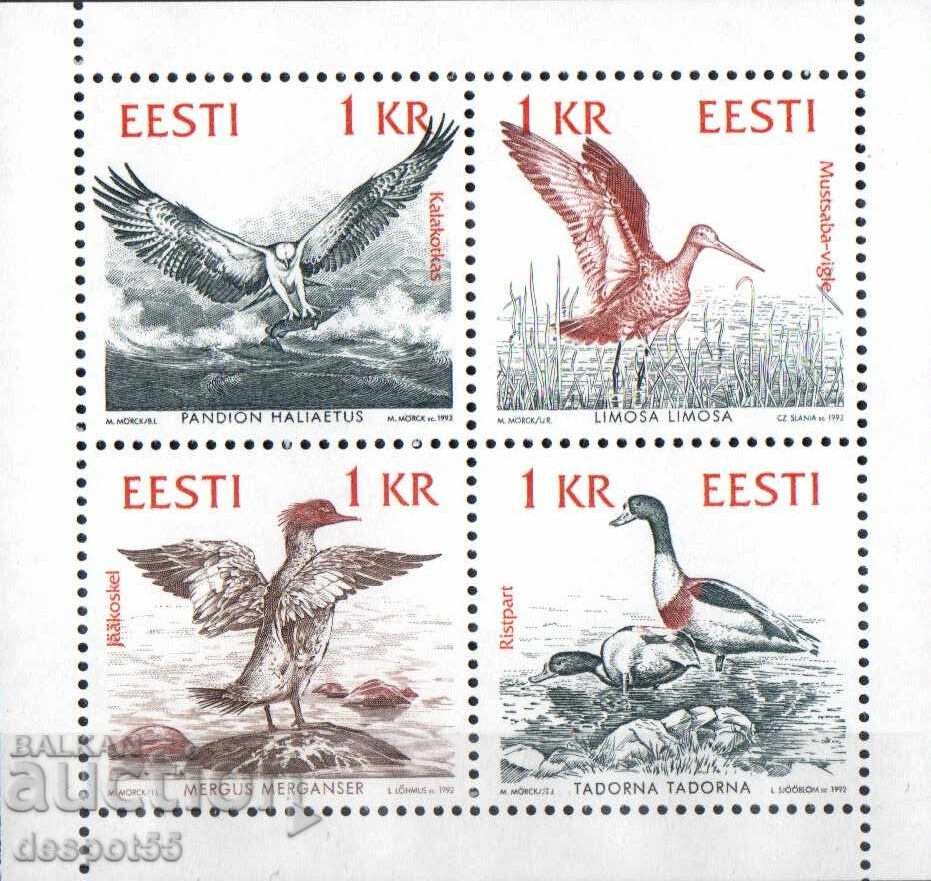 1992. Εσθονία. Πουλιά στις ακτές της Βαλτικής Θάλασσας. Μπλοκ 1992. Εσθονία. Πουλιά στις ακτές της Βαλτικής Θάλασσας. Μπλοκ