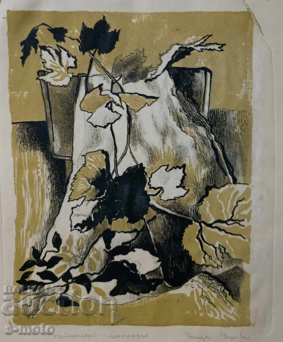 Grafică, litografie natură statică - 5